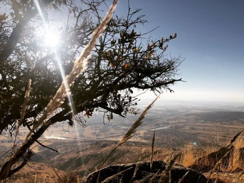 #nature in the #morning #landscape #sun #air #breathe #hiking (at Cerro del Muerto, Ags.) ww