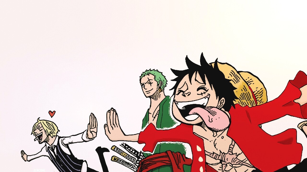 Zoro understands Luffy