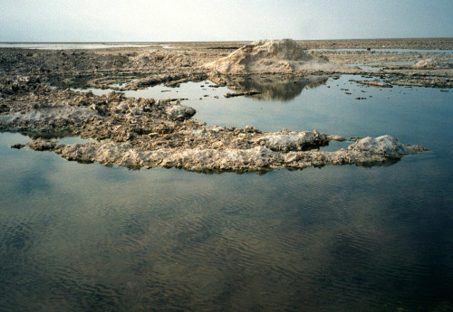 Salar de Atacama, near San Pedro de Atacama, Chile