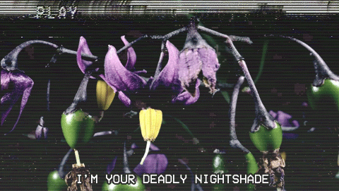 liabillities:  FROOT - Marina and the Diamonds 