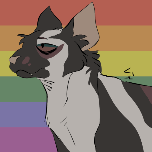 shrimp-sushi:warrior cat pride icons w my designs lol (free to use w credit)cats in order in tags