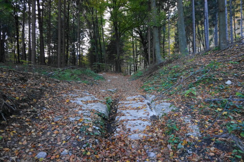 Roman road in ancient Noricum (Austria)Source: Naturpuur, CC BY-SA 4.0 &lt;https://creativecommons.o