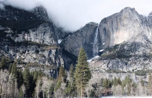 nuhstalgicsoul: Such a beautiful January day in Yosemite National Park By: Corbin Callaway
