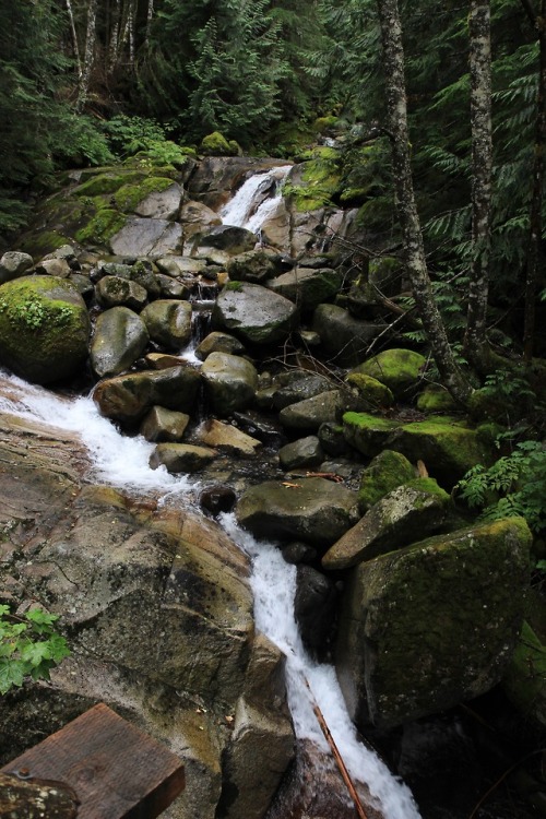 burningmine:Annette Lake Trail, September 2018