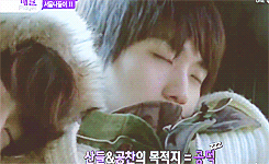 jungdeul:  sleepydeul 