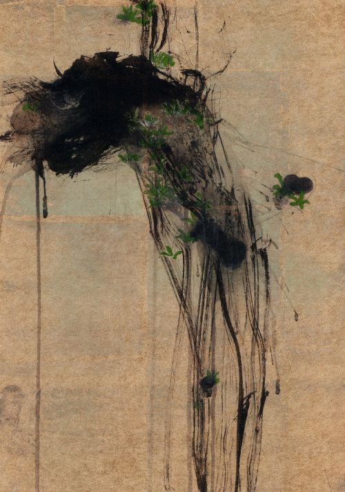 koushijima: 080701-2 2008 60.0x21.2cmpencil, sumi ink, mineral pigment, brass leaf on handmade paper
