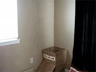 sizvideos:  Cat Helps with the Laundry - Video 