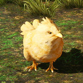 Baby Chocobo 