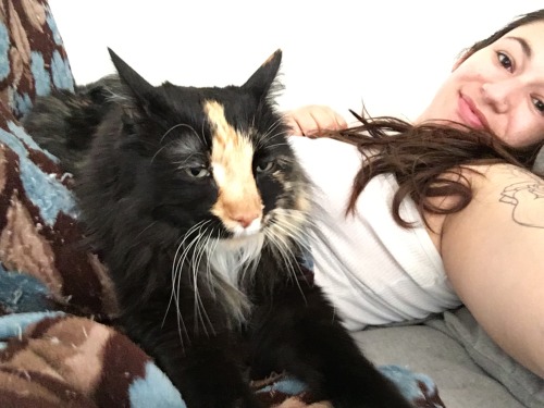 dogwithsharperteeth: I do need to get up eventually, but I guess this is fine for now. She looks so 