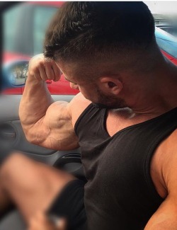 Muscle Worship