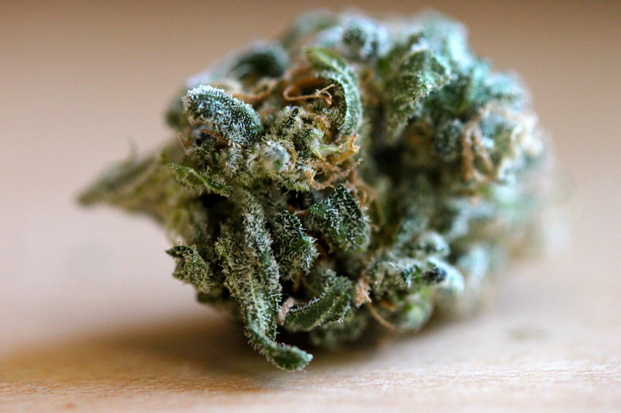The Cannabis Queen