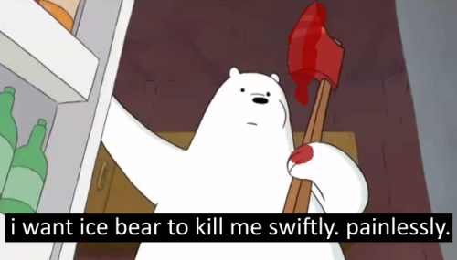 ice bear
