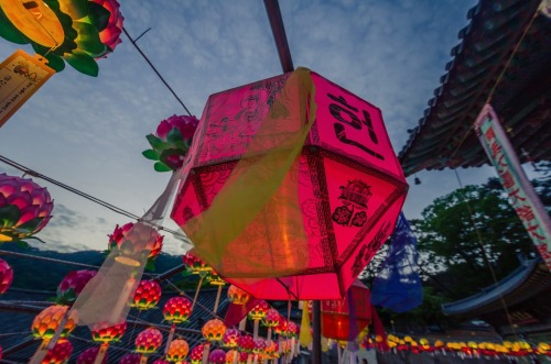 lovesouthkorea: Lanterns at Haeinsa Temple  source: www.10picturesinpohang.com