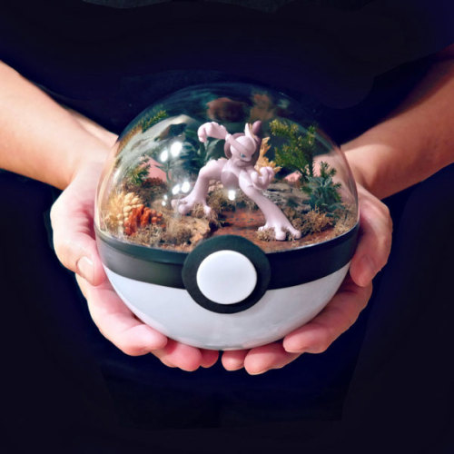 pxlbyte: Poké Ball Terrariums I wasn’t even aware that this was a thing, but you can apparently buy