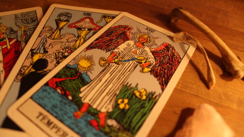 scoobycore:Happy new year!After a long break, I am now doing tarot readings again on Etsy, including