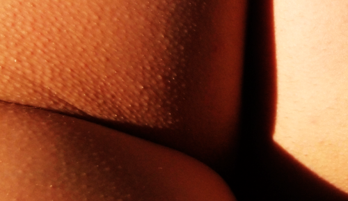 pairofnudes:  I really love every little details of Jane’s ass and pussy! Wonderfull!