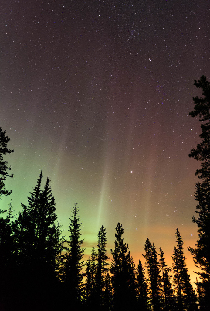 moody-nature:Beam me up | By Tracey Rennie