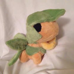 glacidea:  Shiny Tropius Palm plush 