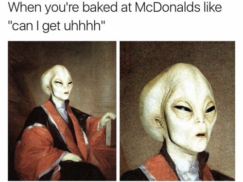 Are you a stoner?