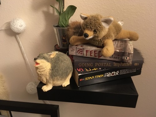 good-dog-girls:My wife bought me this extremely round coyote bank. It is the roundest doggo. My friends on IRC are amused by fat doggo>It’s so fucking happy too, it’s adorable.>That’s what happens when you eat too many chickens>chubby doge>wha