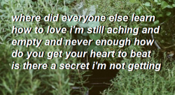 inkskinned:“I was wondering if you could write something for me about never knowing the feeling of being in love.” // r.i.d