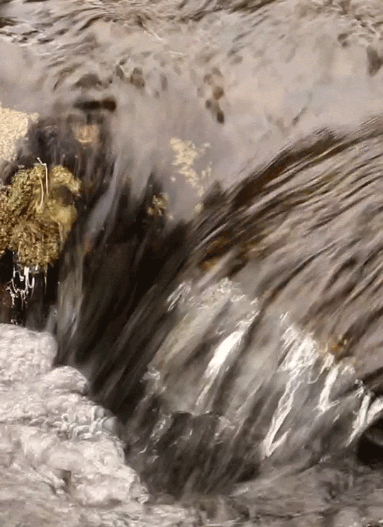 Clear and Water Whitegif by riverwindphotography, August 2017