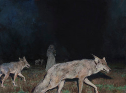 bizarreauhavre:  John Brosio-night hunt, 2012