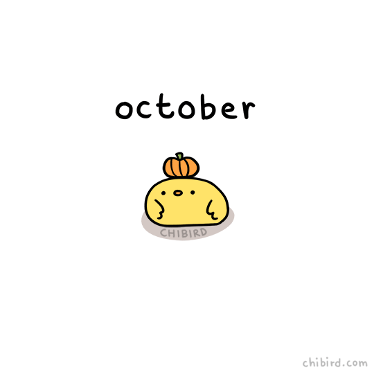 chibird — Happy October everyone! Bouncing pumpkin chibird...