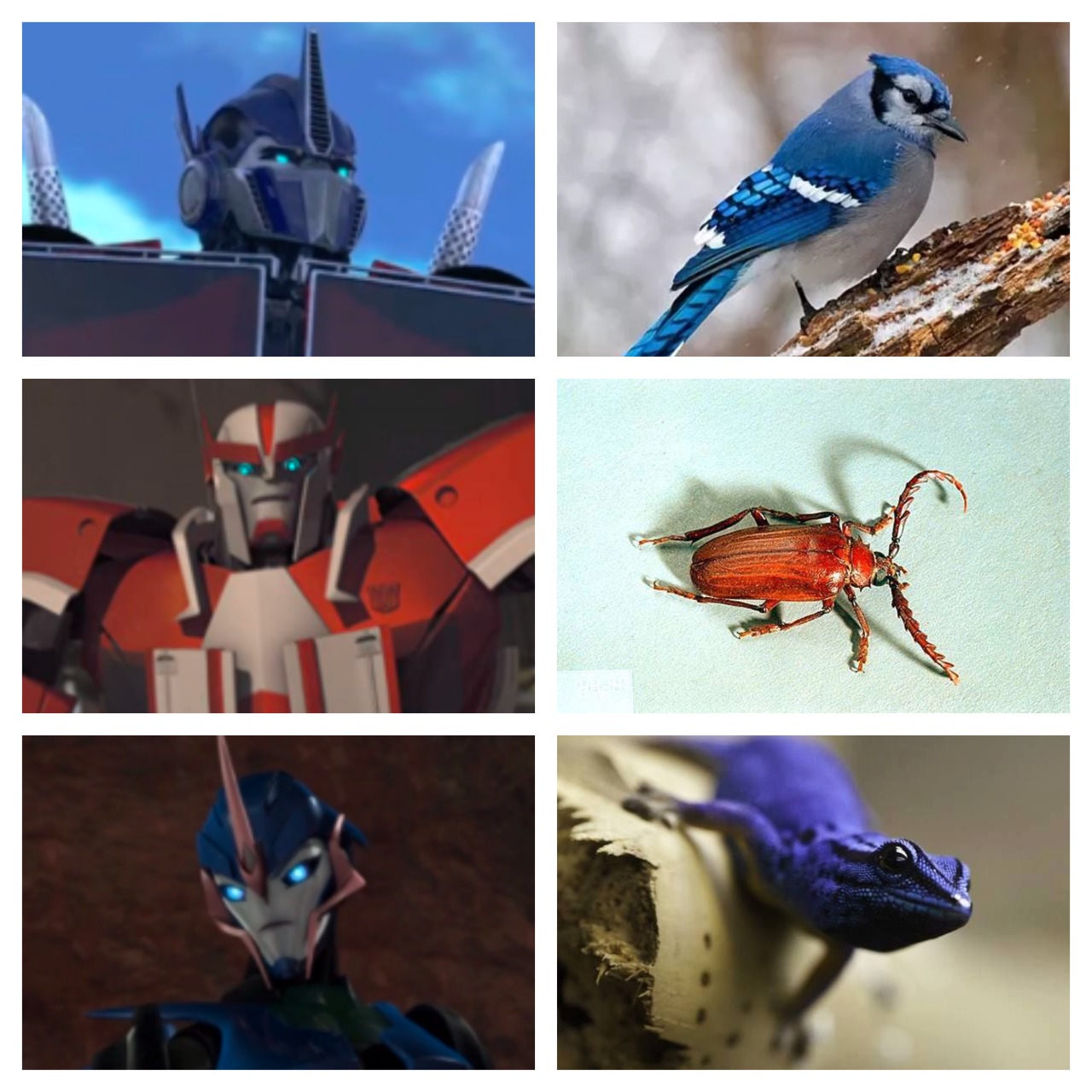 Transformers Prime: Beast Hunters - Season Three