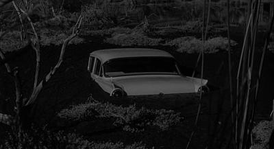 XXX barricklovesmovies:Psycho (1960)dir. Alfred photo