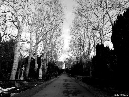 “Cemeteries are full of unfulfilled dreams&hellip; countless echoes of &lsquo;could have&rsquo; and 