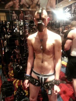 pupvidhra:  Throwback to IML a couple years