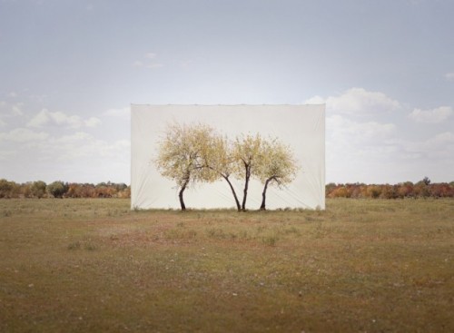 escapekit:TreeSouth Korea-based artist Myoung Ho Lee frames trees to create beautiful natural p