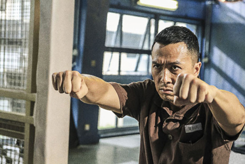 feiyueshoescanada:Kung Fu master— Donnie Yen, who always performs with a brave image on screen.feiyue shoes canada—  A pair of fantastic kung fu shoes. He is very light and comfortable. I hope you will like it.  IPNICEEE
