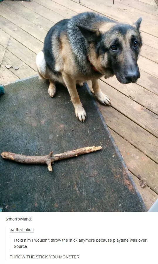 lolfactory:  Dogmeat Depression ➨ funny tumblr➨ facebook➨ twitter➨ pinterest[via