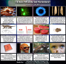 thescienceofreality:  This Week in Science - August 12 - 18, 2013: [Better late than never!] Converted stem cells here. Glow in the dark rabbits here. Bacteria lightbulb here. Neanderthals first European tools here. Fur predates mammals here. Cups &amp;