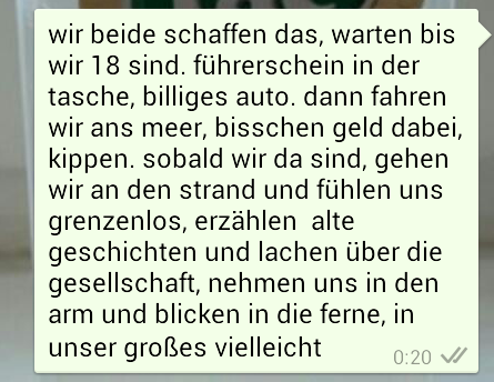 wir wollen fliegen doch fallen tief