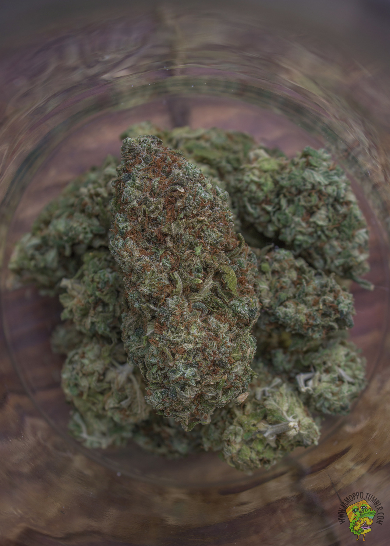 iamoppo:  Galaxy God Bud