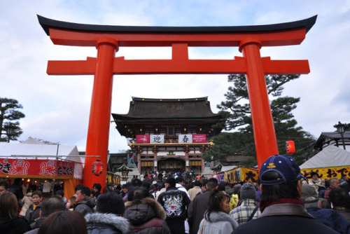 punipunijapan: Do you know what Japanese people do on New Year’s day(◕ω◕)? The Japanese 