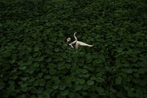 picaet: prue stent