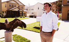 levydaniel:  tv show meme: five shows ⇨ [2/5] arrested development 
