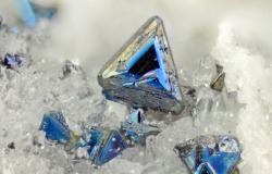 underthescopemineral:  Tennantite  Cu12As4S13 Locality:Les Ferreres mine, Rocabruna, Camprodon, Ripollès, Girona, Catalonia, Spain  Largest Crystal Size: 2 mm      Phont Phillipe’s Photo.  