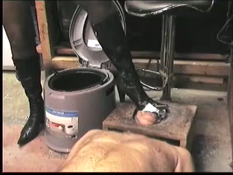 faceslave: USED ITS FACE AS A FOOTREST WHILST I TOOK A PISS IN THE BUCKET,I LIKE TO LET IT FERMENT I