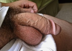 mydaddyishairy:   My Daddy is Hairy - over