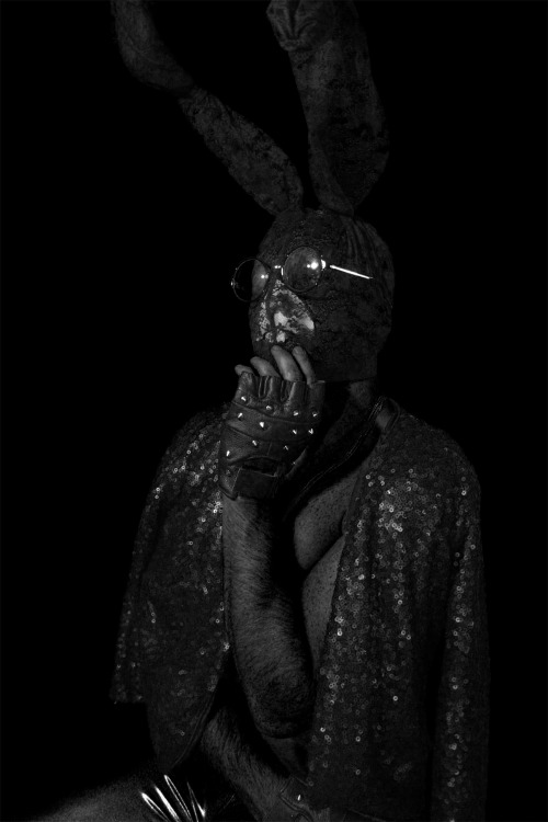 HARE DON’T CARE - ALEXANDER GUERRA 2013