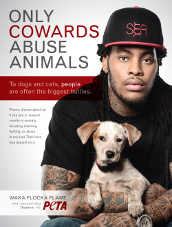 h0odrich:  vceboogie:  dis why waka da best  omg I remember in an article once he said if he walked down the street even a dog would recognize him…waka truly does it for all his fans 