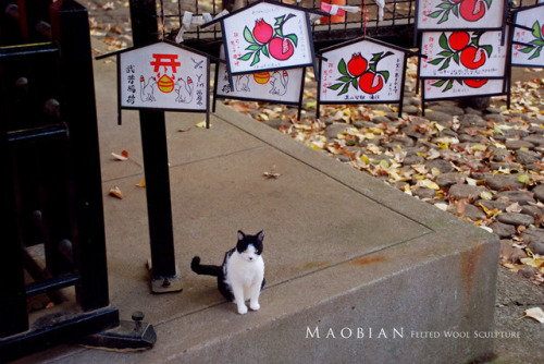 Last December I took my needle felted cat to travel to Tokyo.(part. 1)