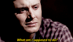 jaredbottoms:OTP meme: parallels