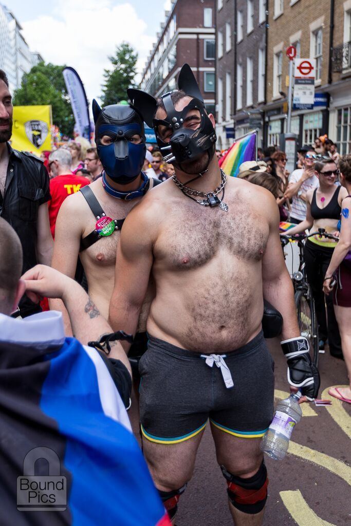 puppiesonladders:  Pups at London Pride 2015. photos by Archimedes Alpha (x2), Charles