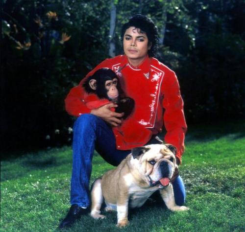 twixnmix:Michael Jackson photographed by Sam Emerson at his Hayvenhurst home with his animals, 1986.